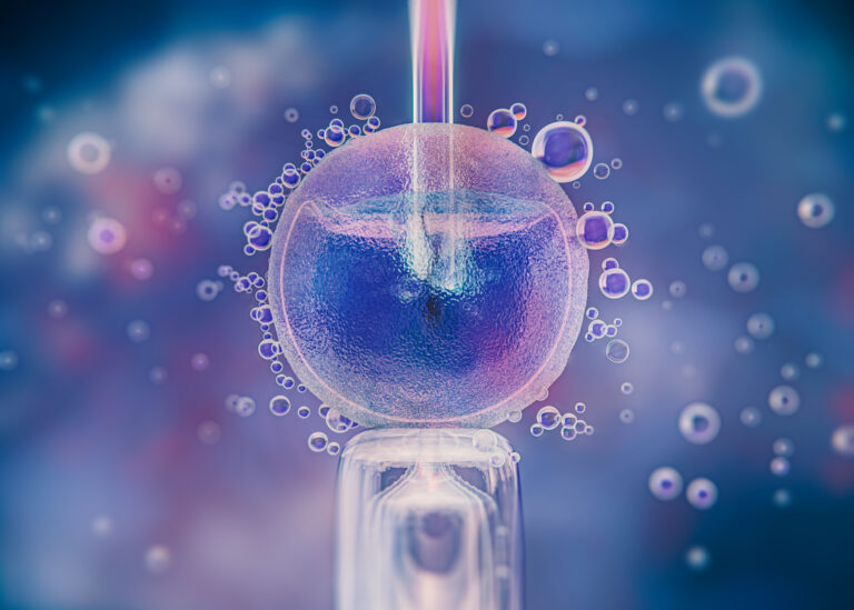 artificial insemination